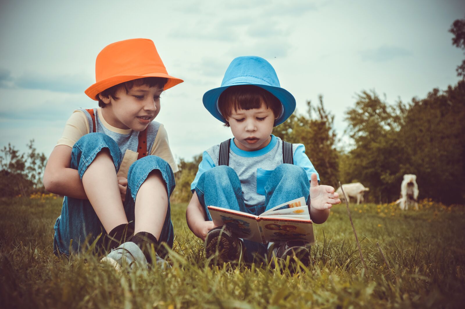 Nikon D3200 sample photo. Boys, children, reading photography