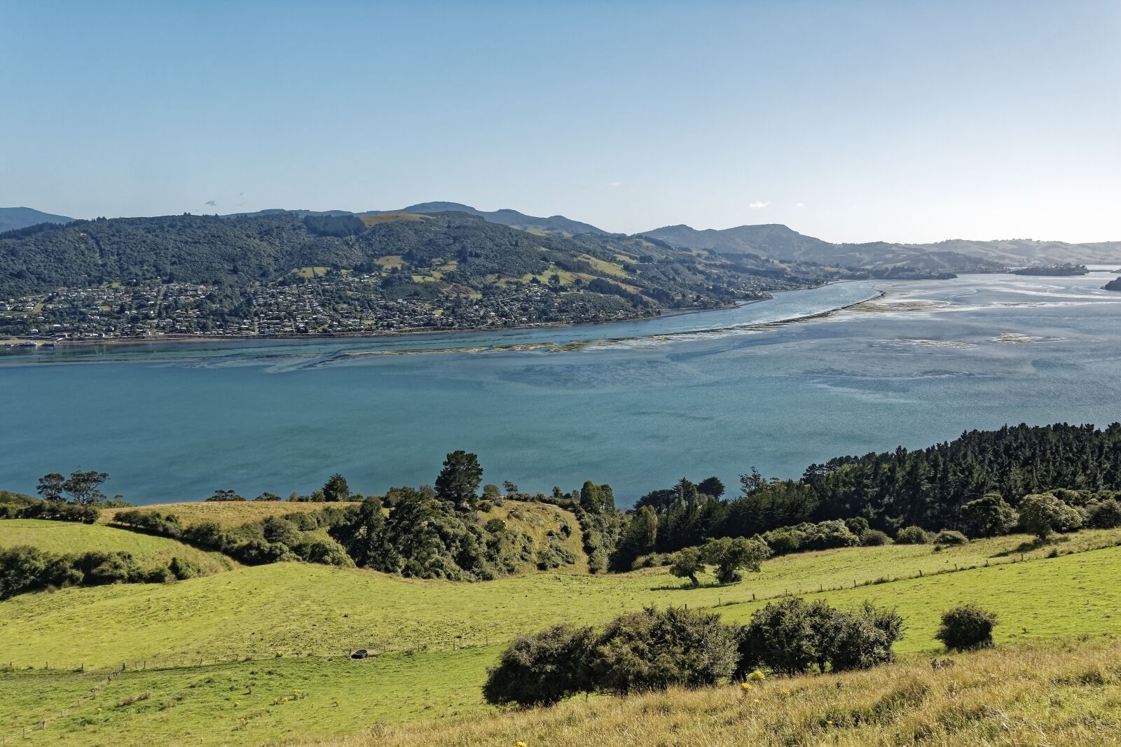 Nikon D500 sample photo. New zealand, otago harbour photography