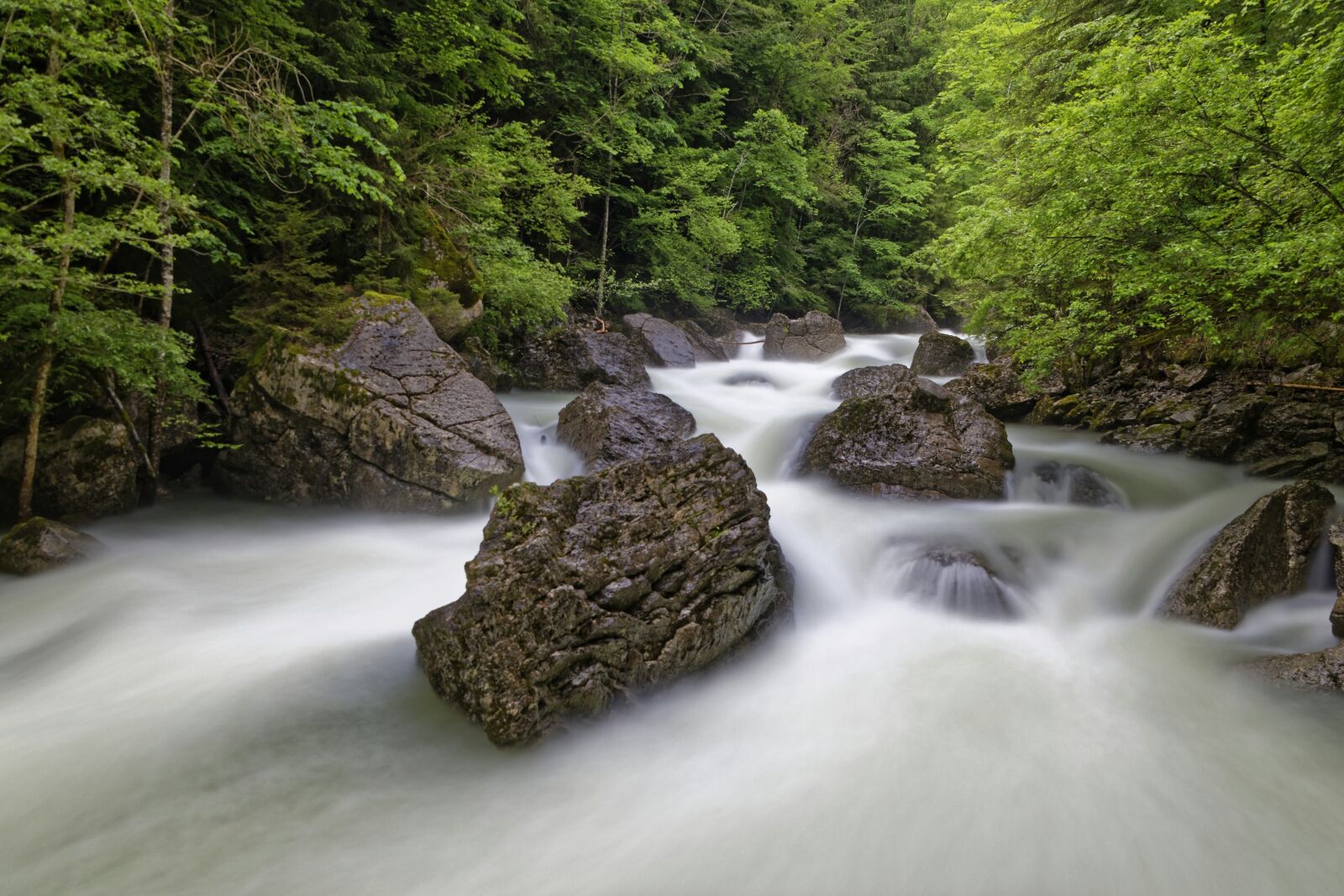 Nikon D5500 sample photo. Forest, river, nature photography