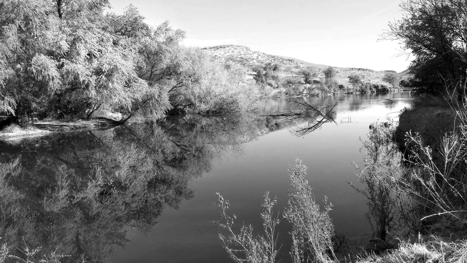 Samsung Galaxy S4 sample photo