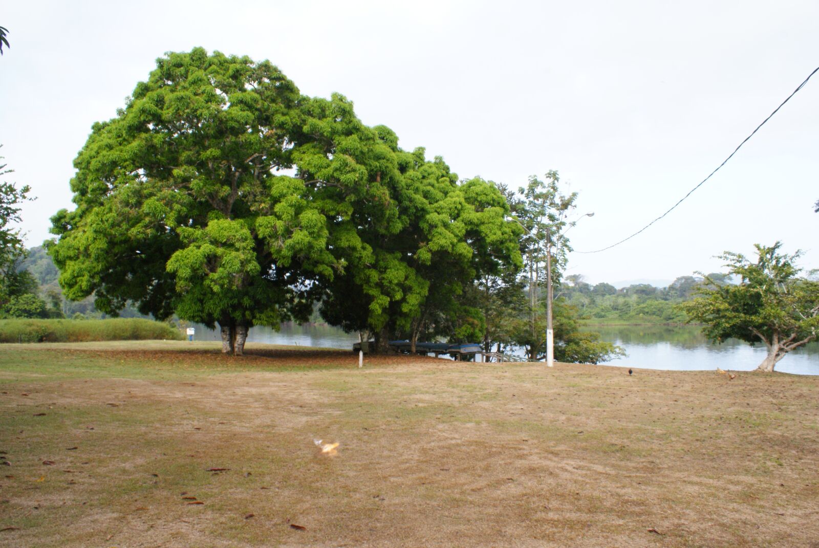 Sony Alpha DSLR-A300 sample photo. Amapá, rio, trip photography