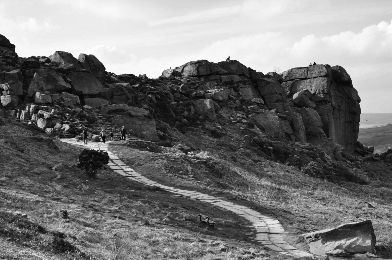 Nikon D5000 sample photo. Cow and calf, ilkley photography