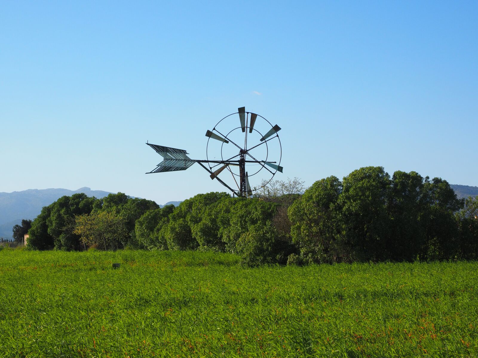 Olympus OM-D E-M1 + Olympus M.Zuiko Digital ED 12-40mm F2.8 Pro sample photo. Windmill, mallorca, muro photography