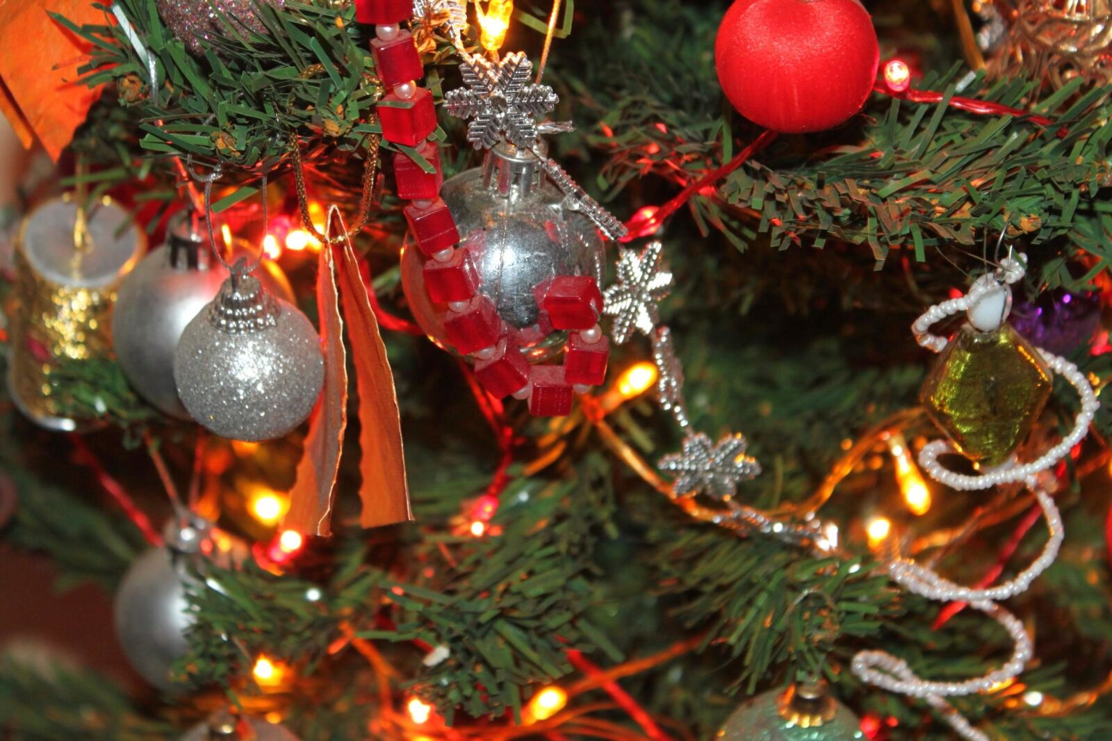 Canon EOS 500D (EOS Rebel T1i / EOS Kiss X3) sample photo. Christmas, celebration, branch, plant photography