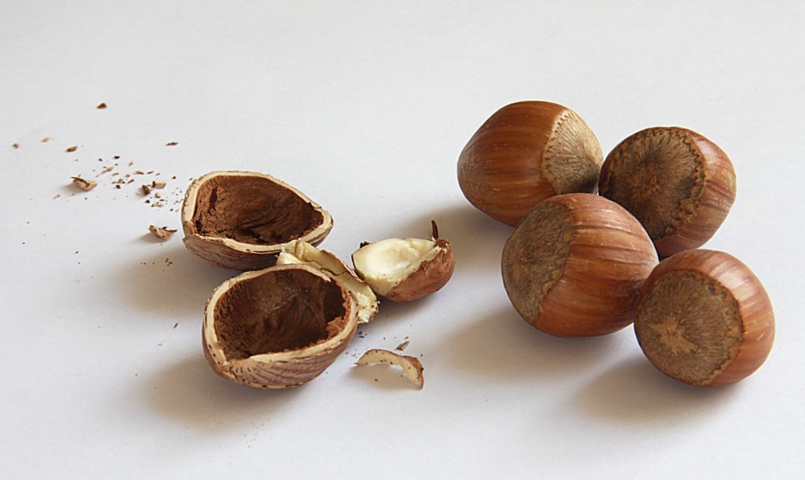 Canon EOS 40D sample photo. Nuts, hazelnuts, shell photography