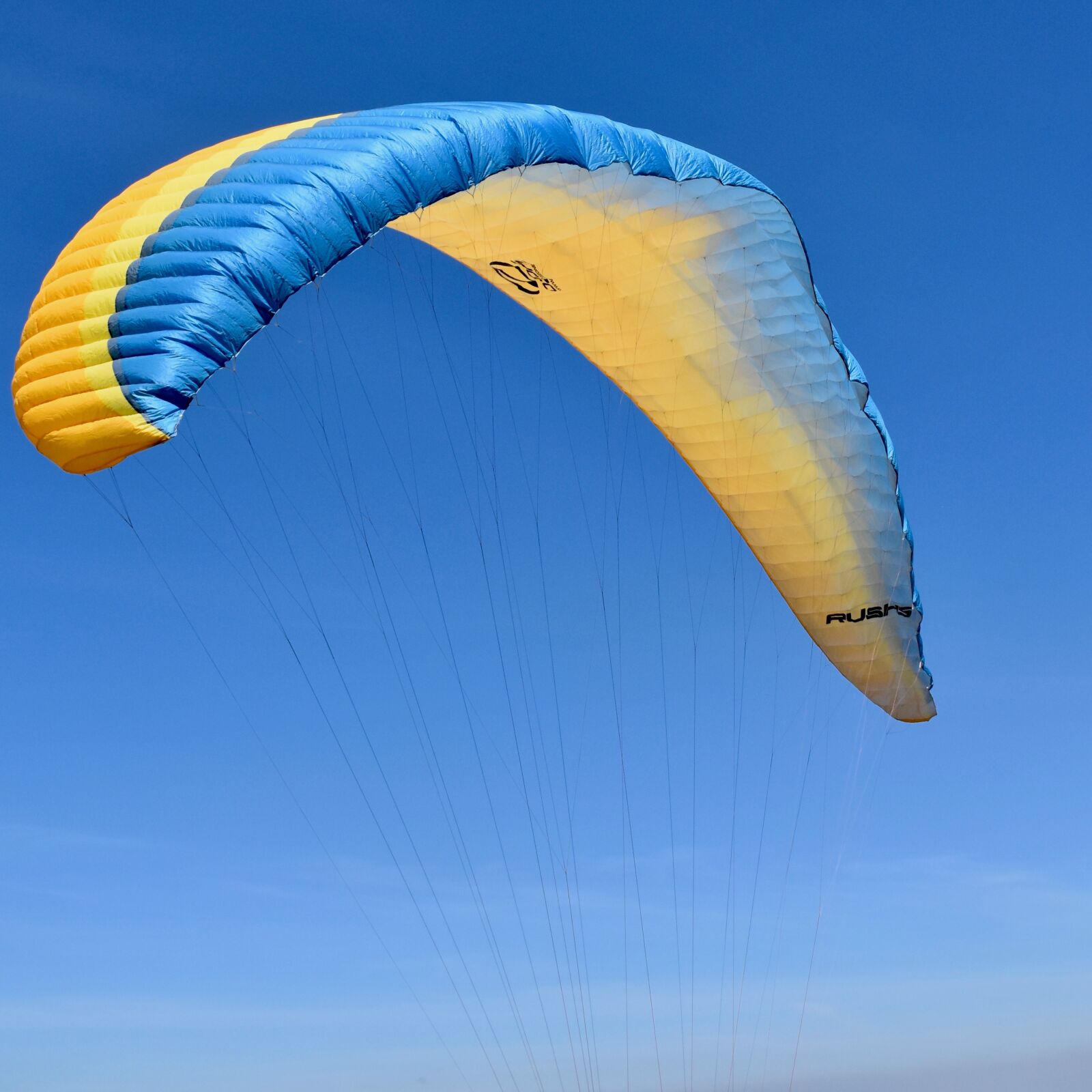Nikon D5600 sample photo. Paragliding, paraglider wing, paraglider photography