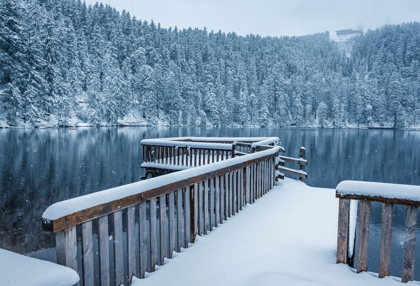Nikon D750 sample photo. Black forest, waldsee, mirroring photography