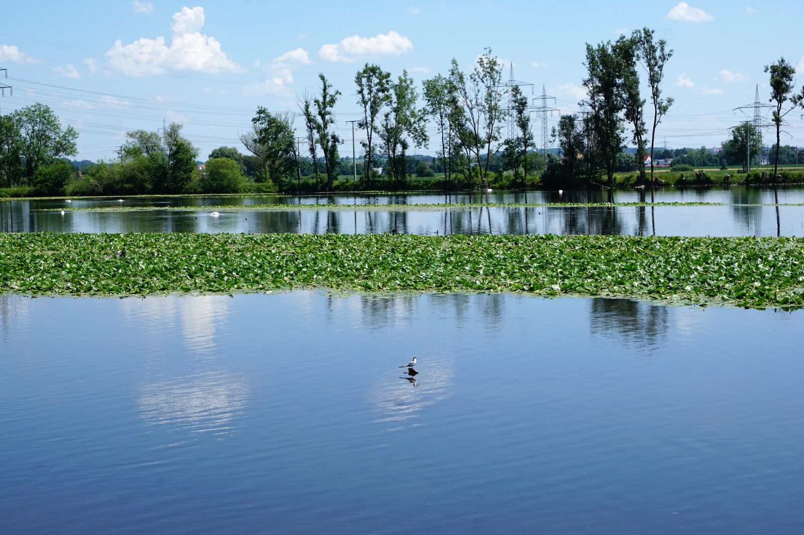 Sony ILCA-77M2 + Sony DT 16-50mm F2.8 SSM sample photo. Danube, ehingen, ulm photography