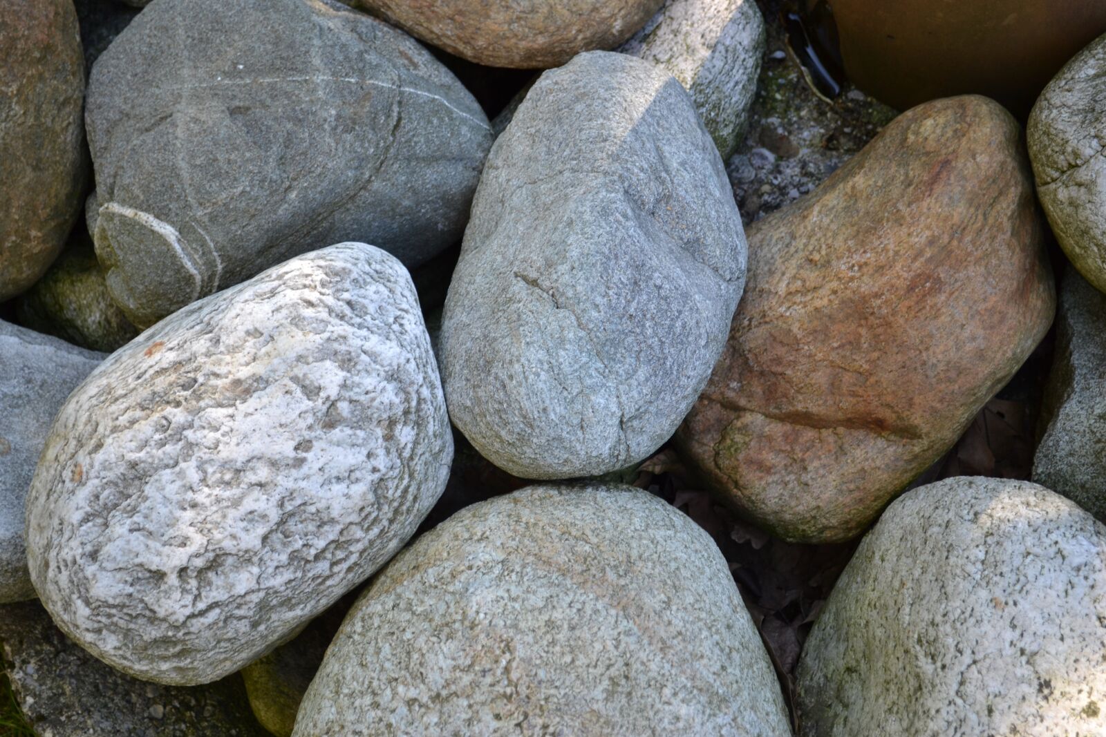 Nikon D3100 sample photo. Sassi, gray, stones photography