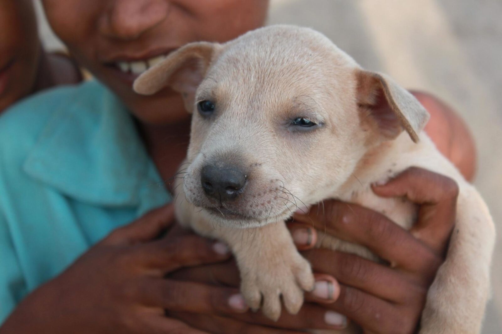 Canon EOS 500D (EOS Rebel T1i / EOS Kiss X3) sample photo. Boy, puppy, dog, animal photography