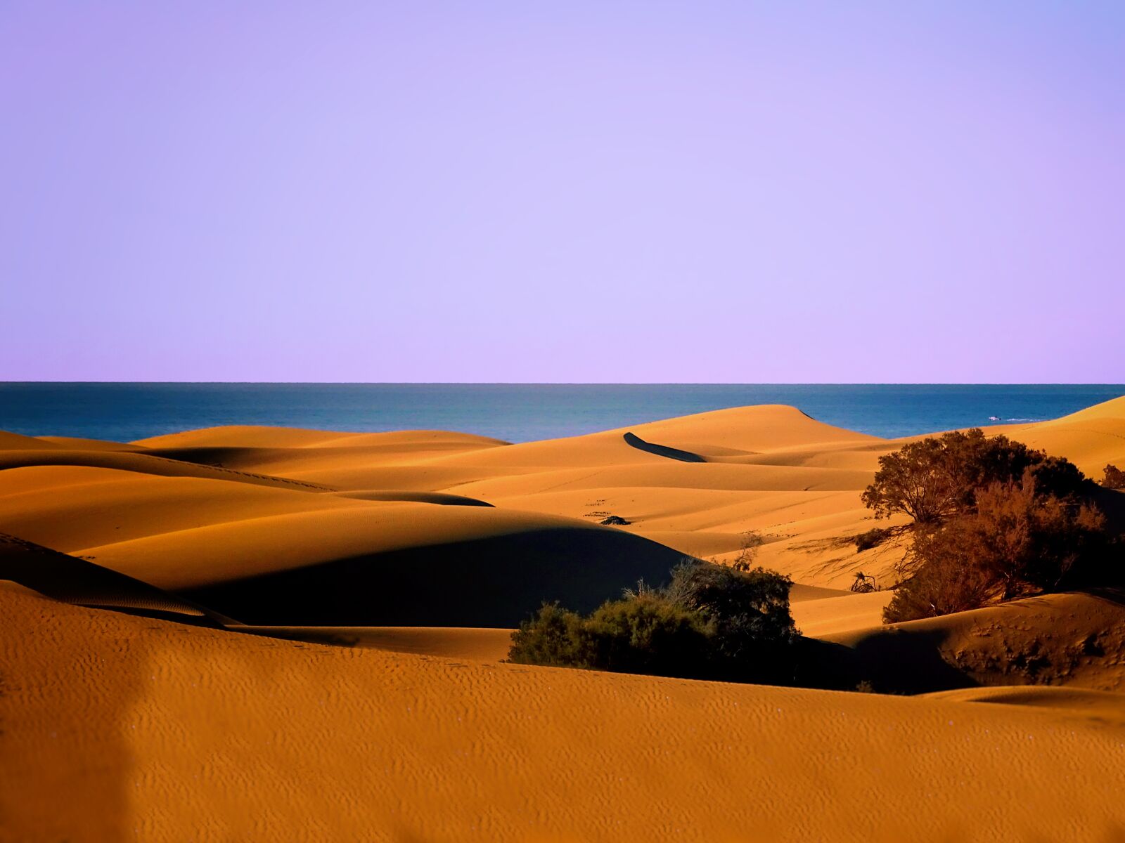 Sony Cyber-shot DSC-HX400V sample photo. Dunes, sand dunes, sea photography