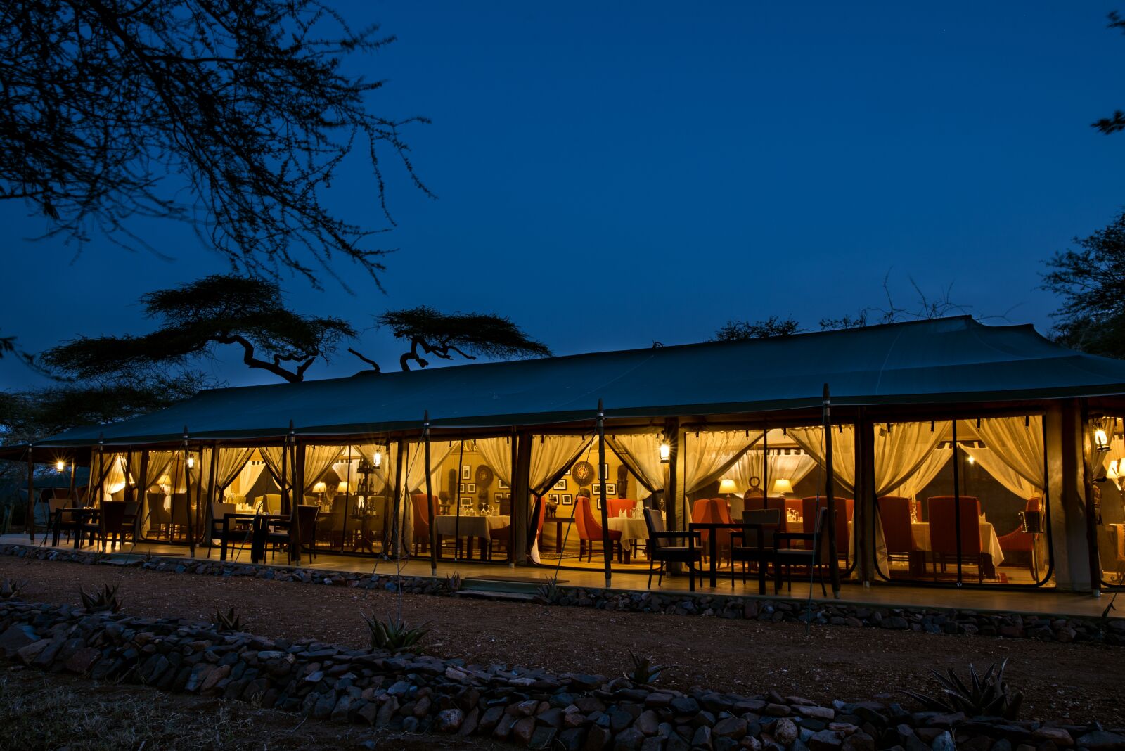 Nikon D750 sample photo. Tanzania, safari, cross africa photography