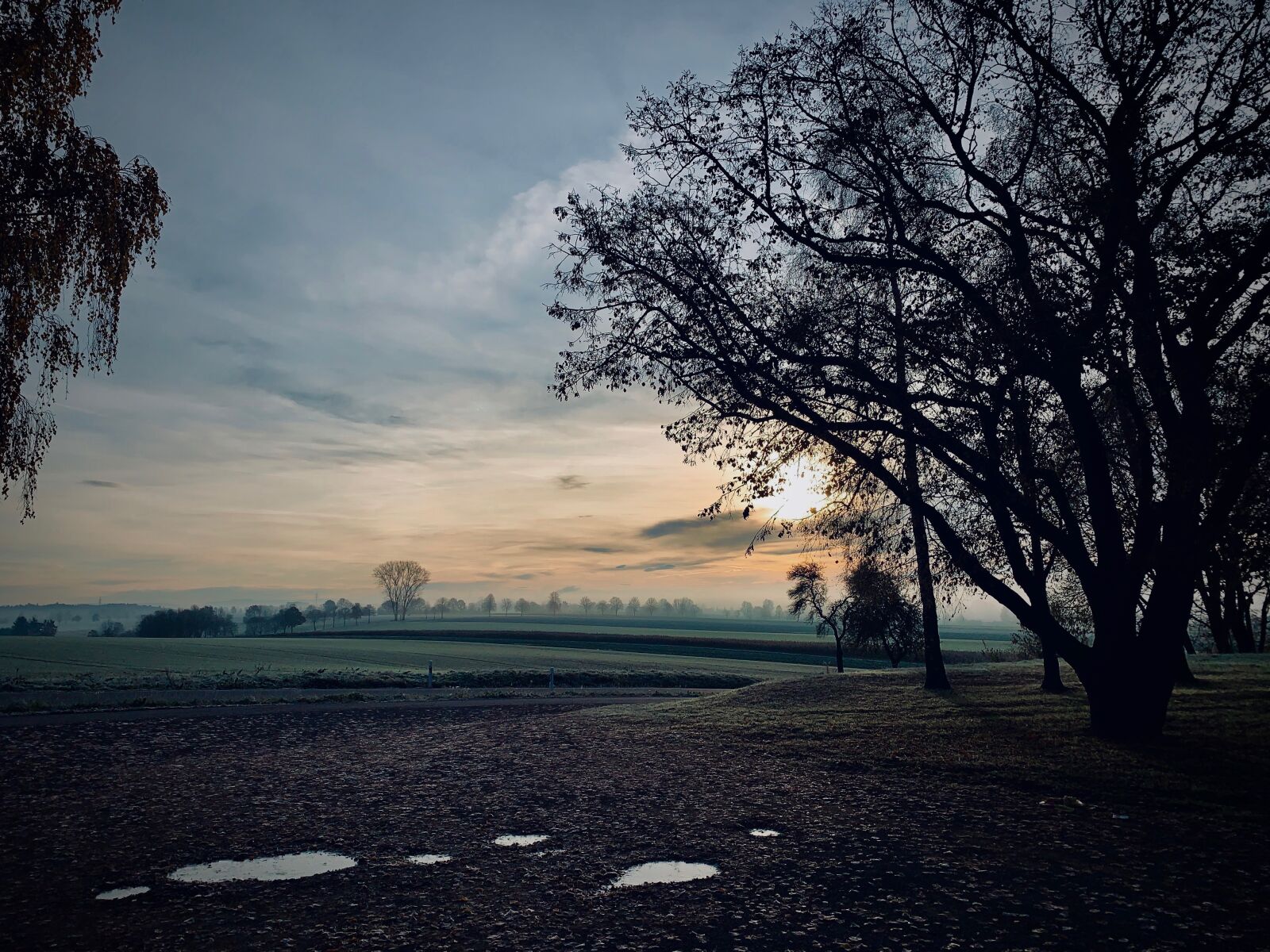 Apple iPhone XS sample photo. Autumn, morgenstimmung, cool photography