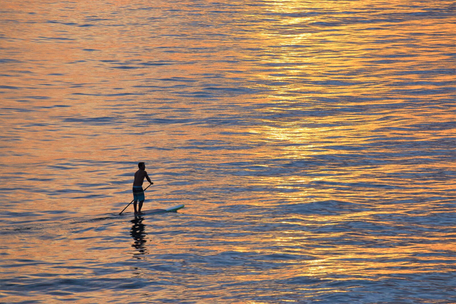 Nikon D3300 sample photo. Sunset, lifestyle, paddleboarding photography
