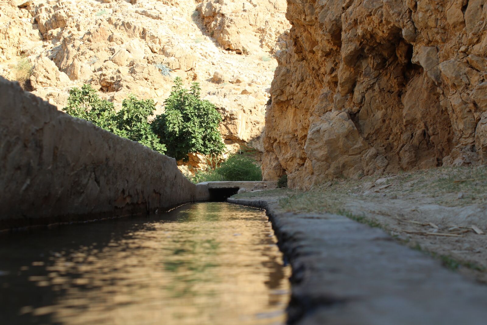 Canon EOS 600D (Rebel EOS T3i / EOS Kiss X5) sample photo. Desert, water, channel photography