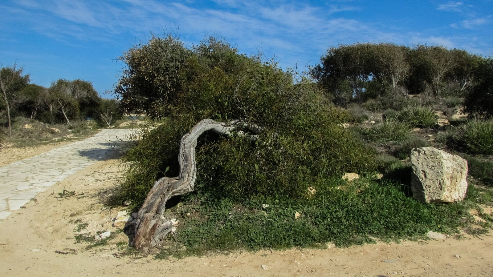 Canon PowerShot SX400 IS sample photo. Cyprus, ayia napa, makronissos photography
