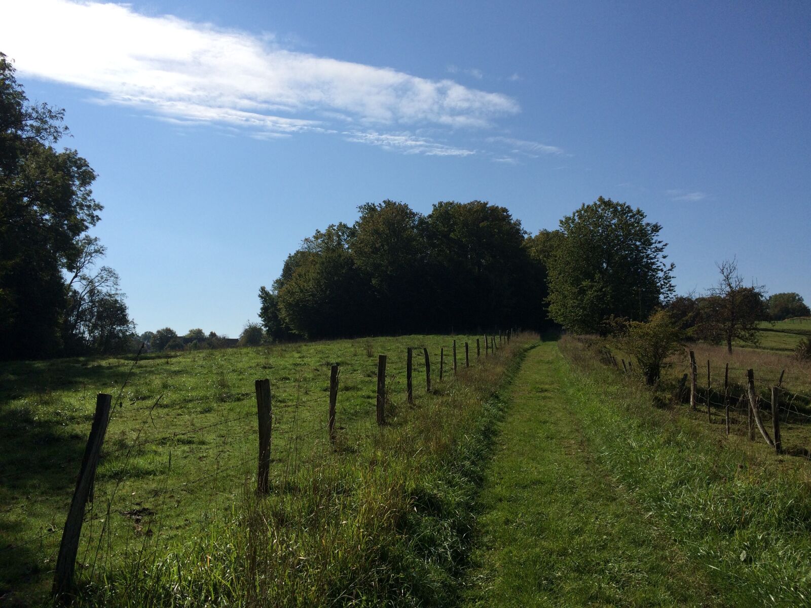 iPhone 5s back camera 4.15mm f/2.2 sample photo. Field, path, green photography