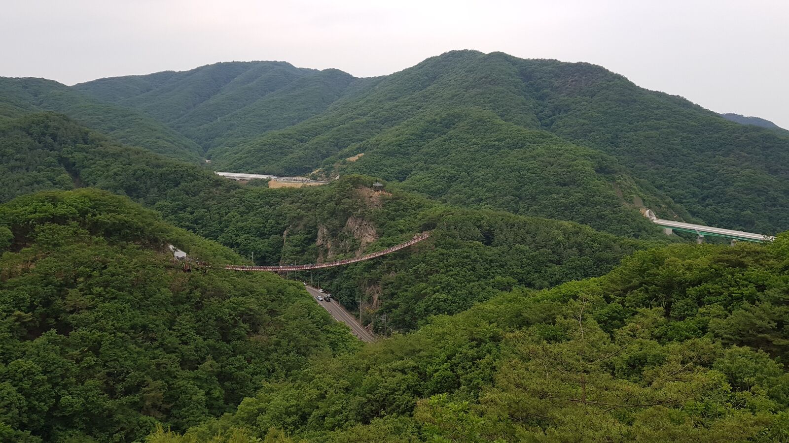 Samsung Galaxy S8+ sample photo