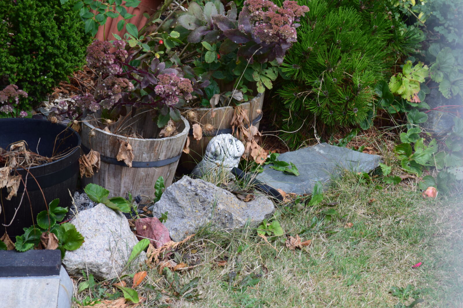Nikon D3300 sample photo. 1st photography