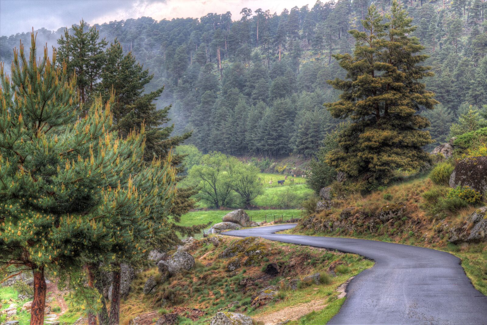 Canon EOS 550D (EOS Rebel T2i / EOS Kiss X4) sample photo. Gredos, avila, landscapes photography