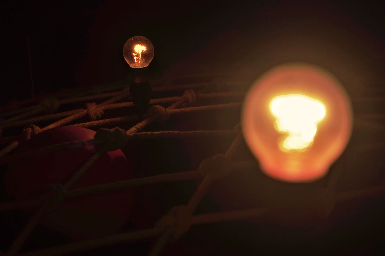 Nikon D5300 sample photo. Bulbs, light bulbs, illuminate photography