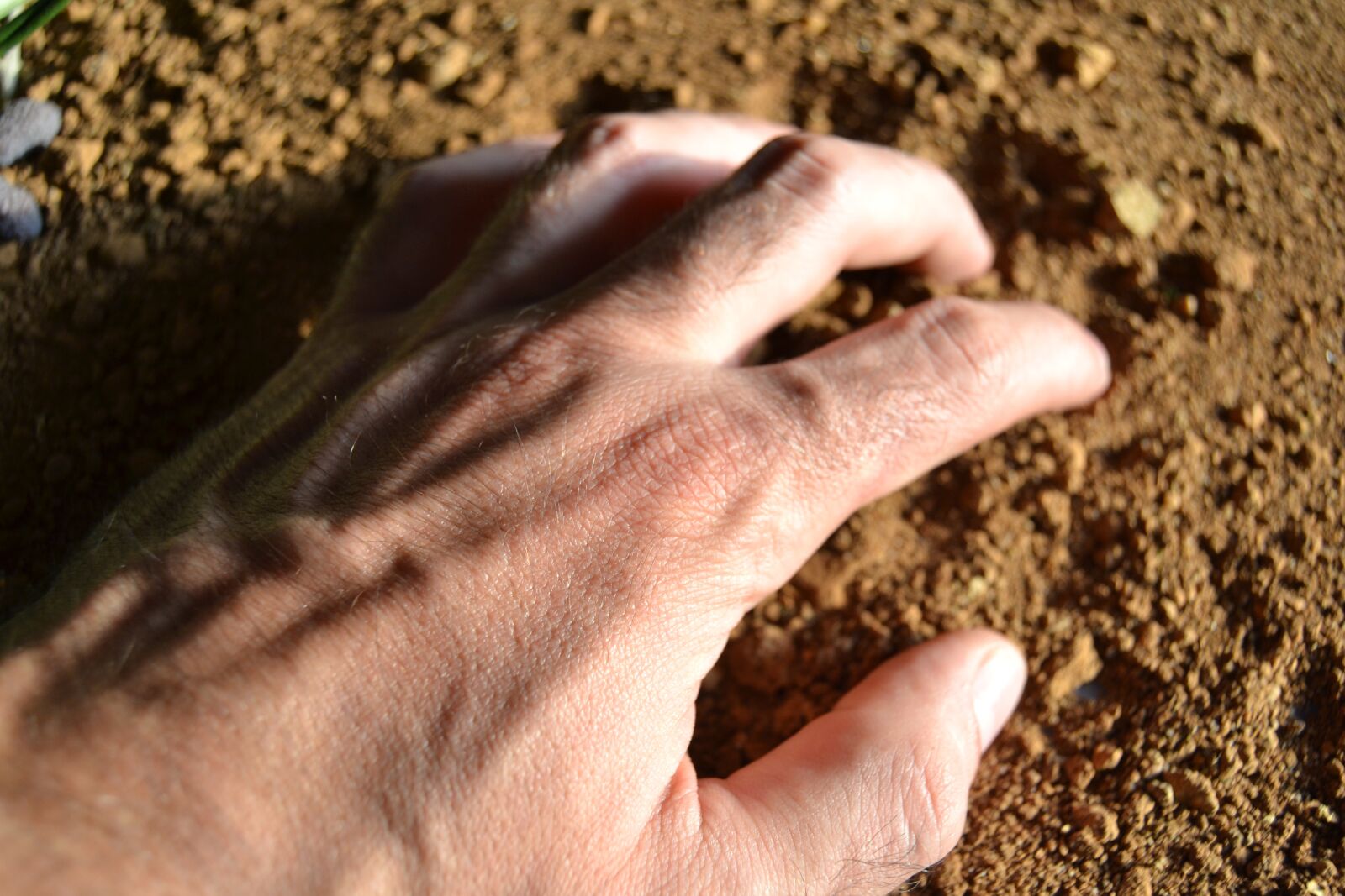 Nikon D3100 sample photo. Earth, farmer, work photography