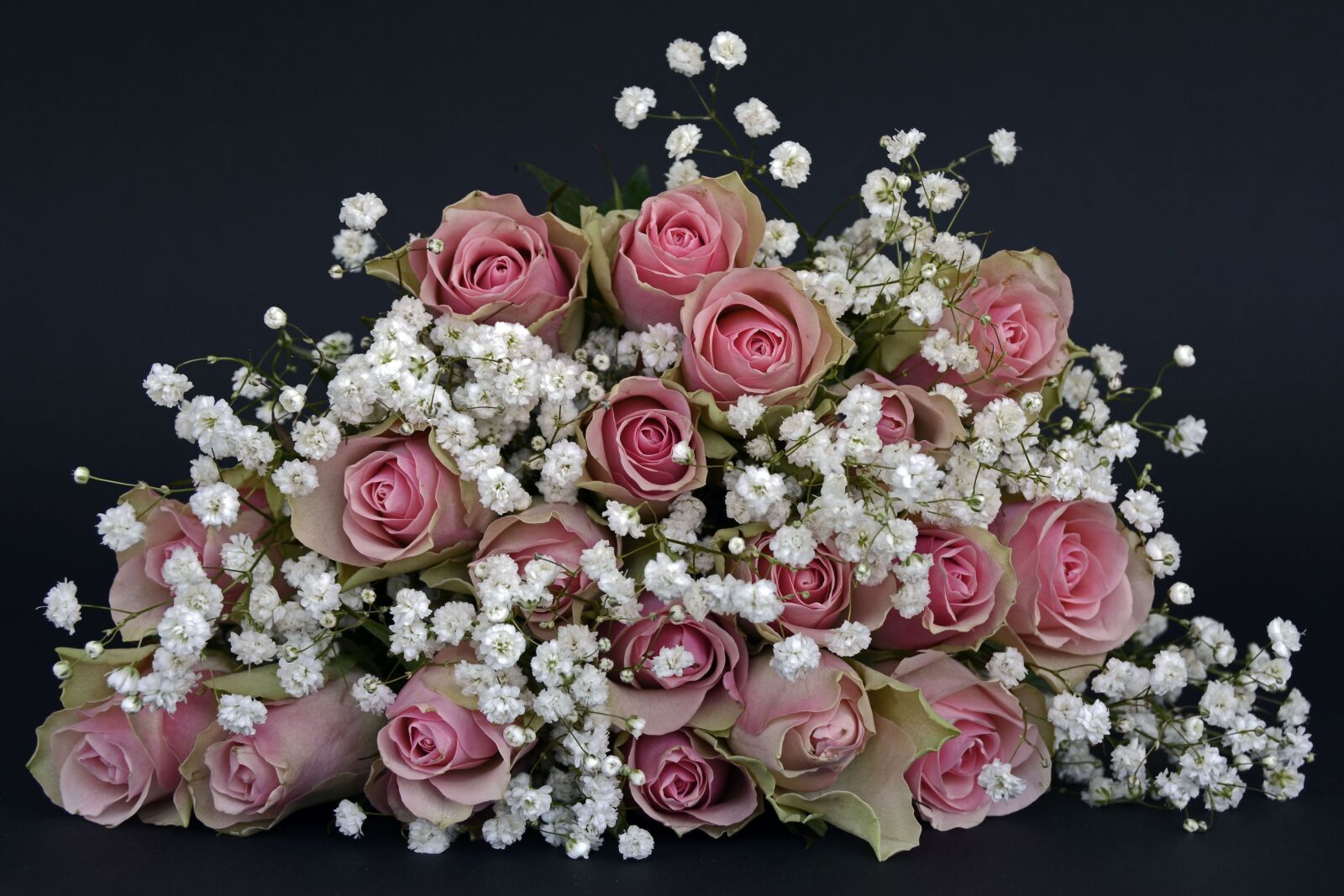 Nikon D7100 sample photo. Roses, rose flower, flowers photography