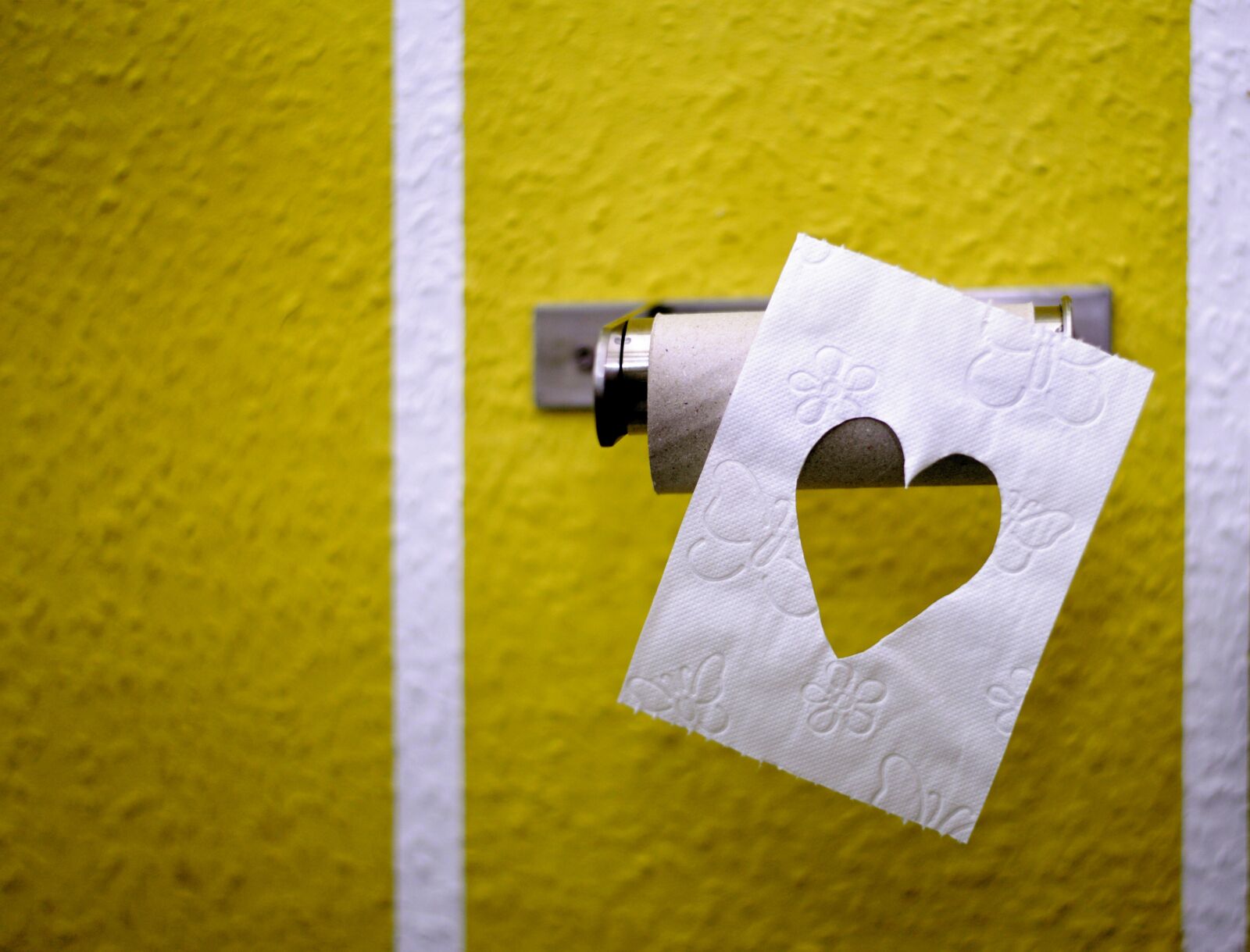 Nikon D610 sample photo. Toilet paper, role, hygiene photography