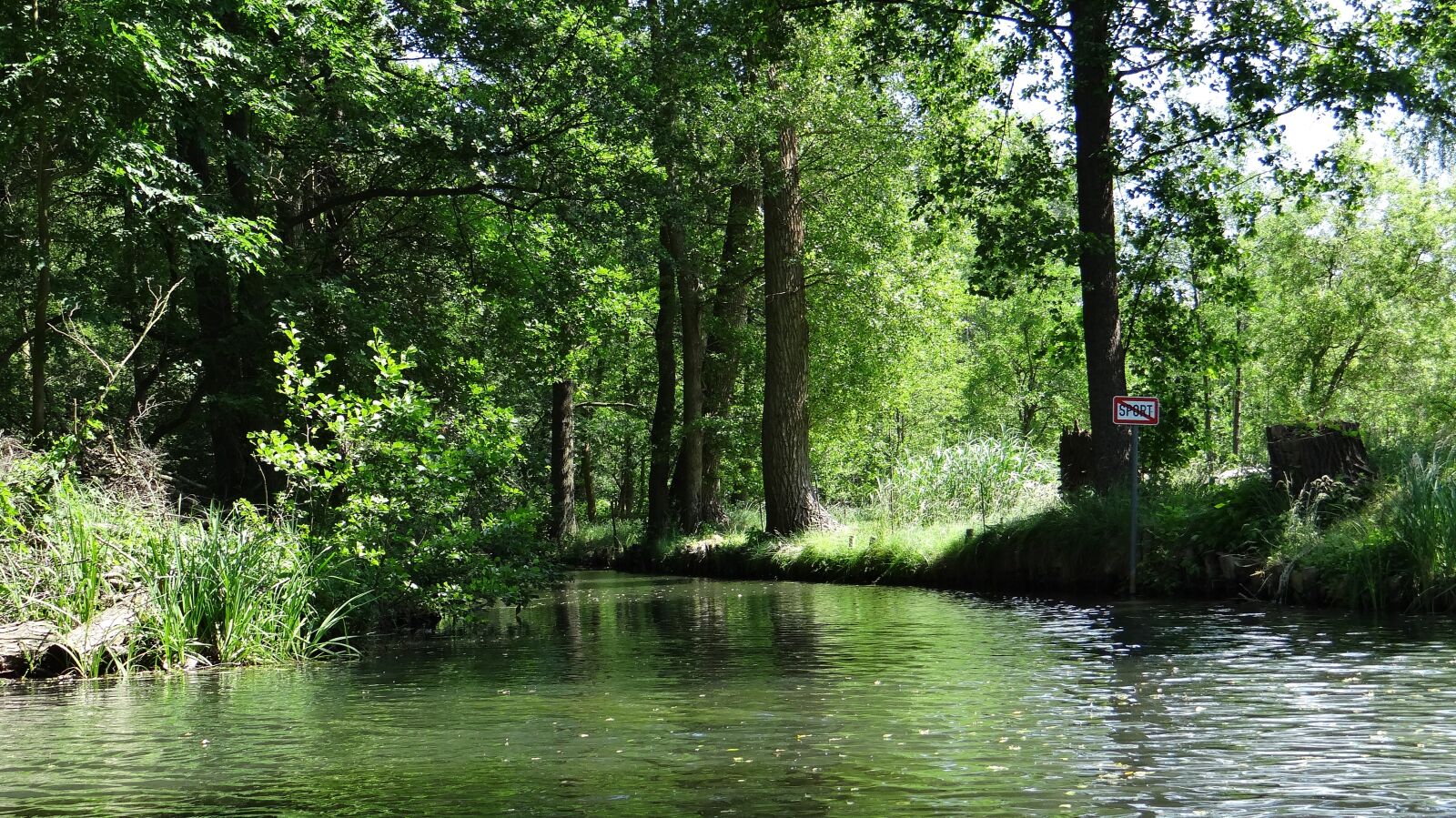 Sony DSC-HX200V sample photo. Spreewald, depth, landscape photography