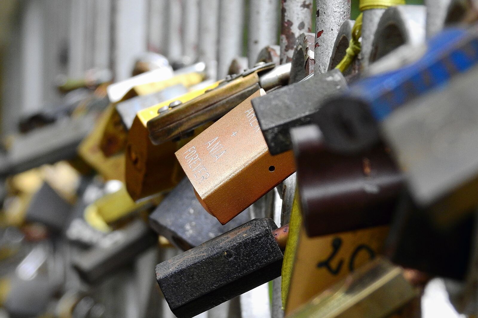 Nikon Coolpix P900 sample photo. Padlocks, bridge lovers, love photography