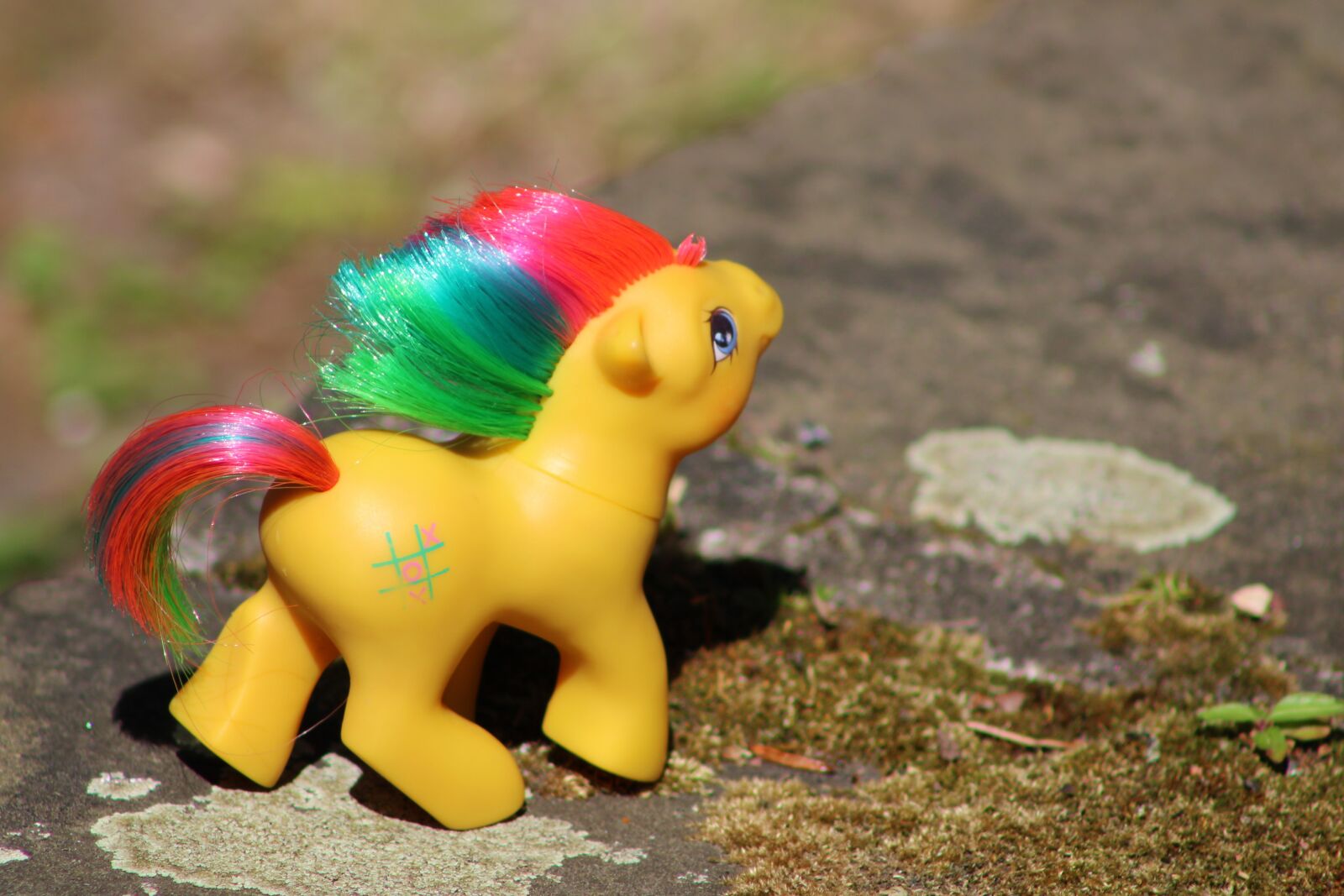 Canon EF75-300mm f/4-5.6 sample photo. My little pony, toys photography