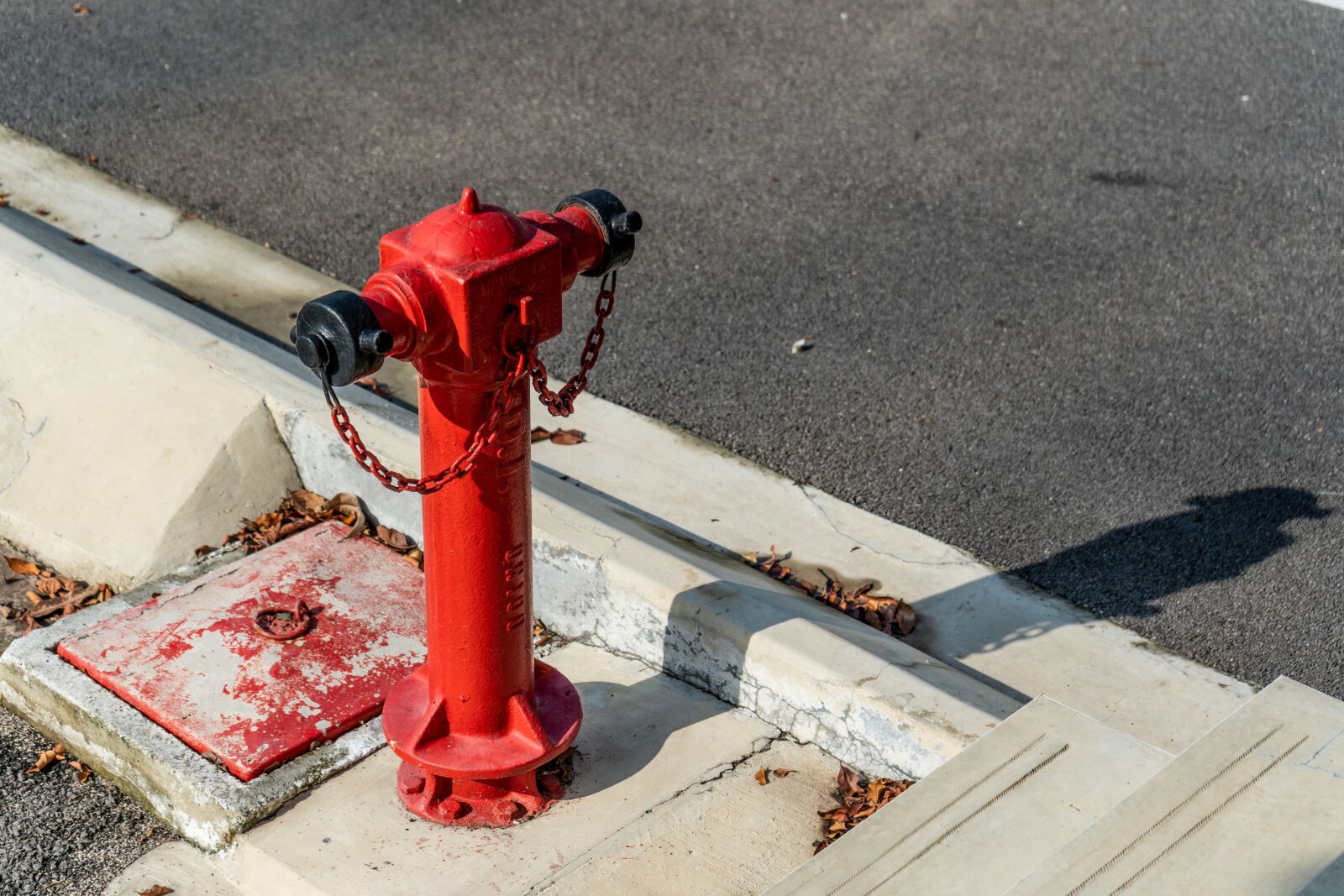 Sony a7 III sample photo. Fire hydrant, road, hydrant photography