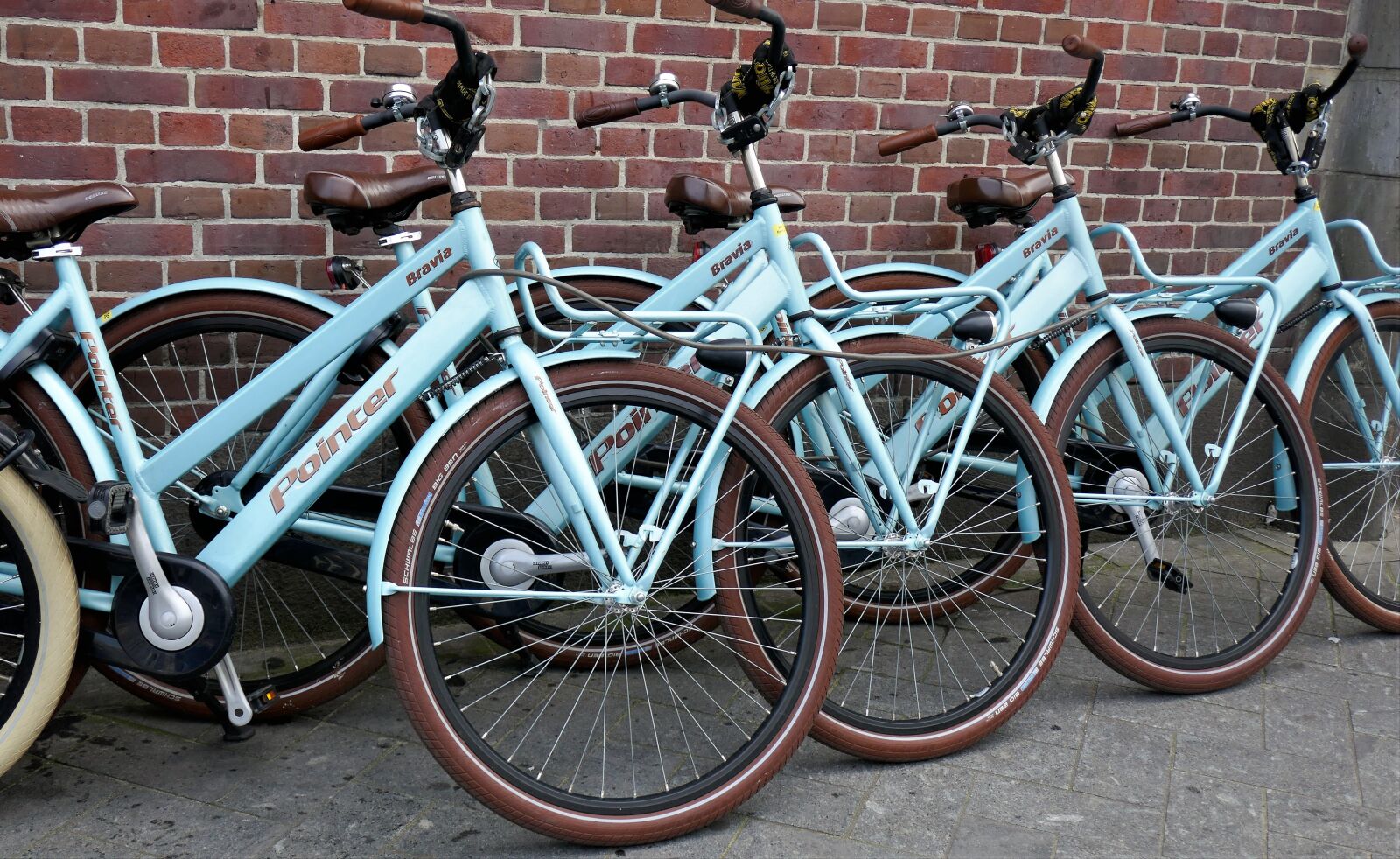 Panasonic DMC-TZ101 sample photo. Bicycles, rental bikes, bike photography