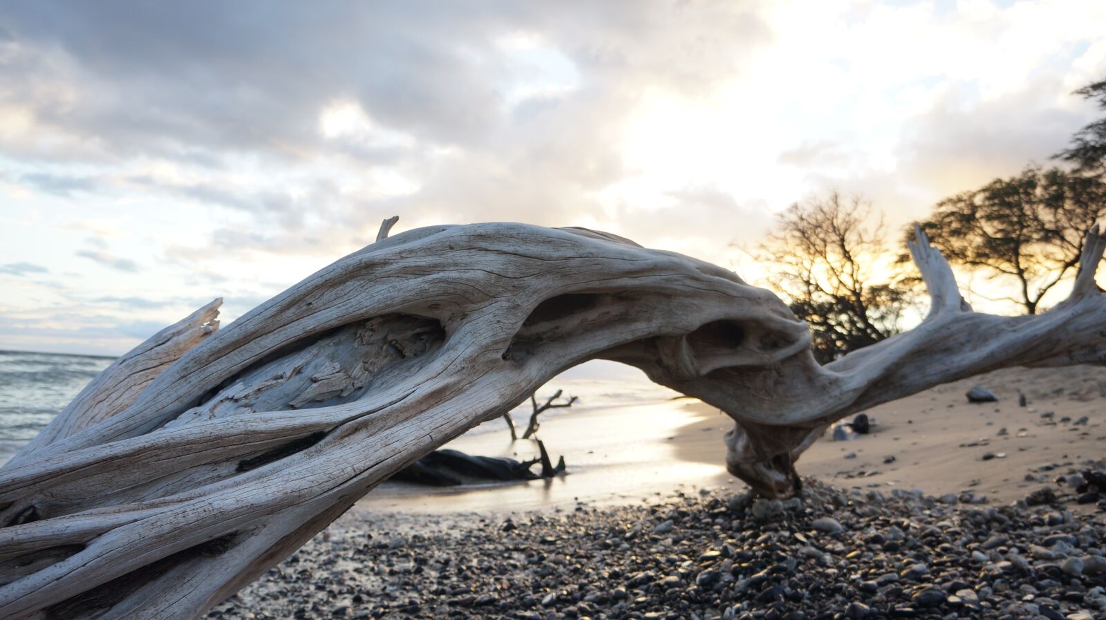 Sony Alpha NEX-5N sample photo. Beach, ocean, driftwood photography