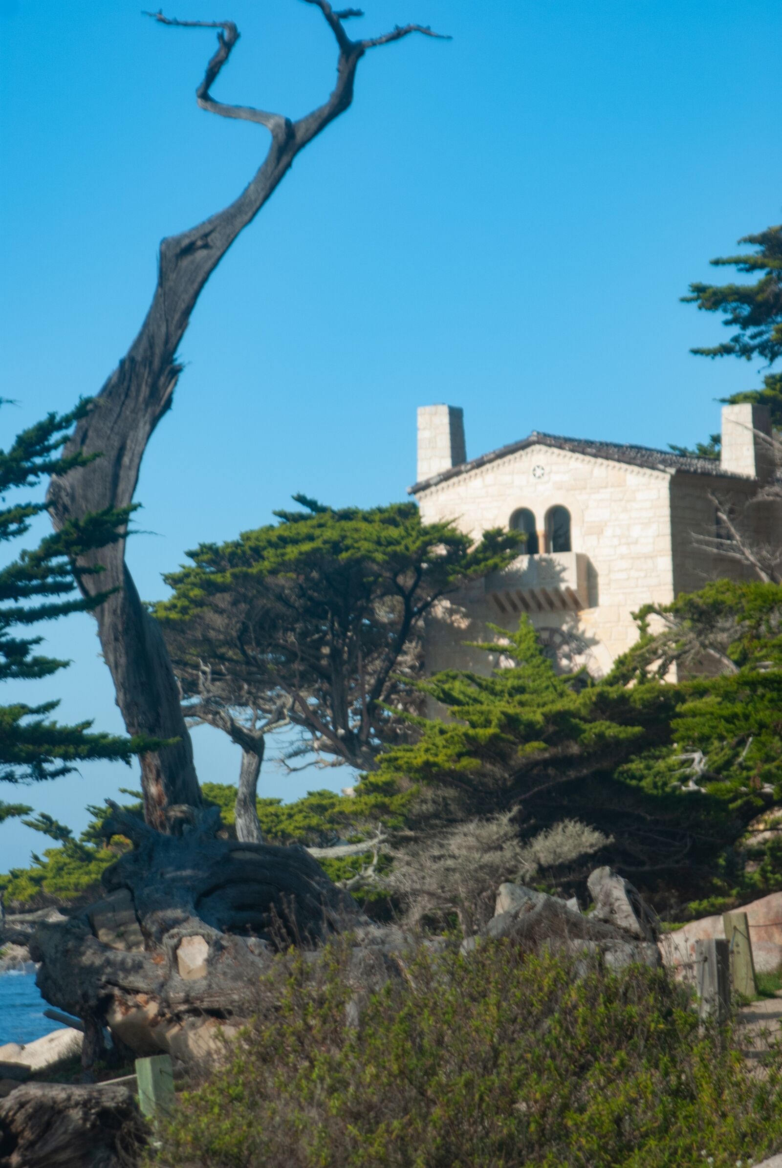Nikon D80 sample photo. Pebble beach, 17 mile photography