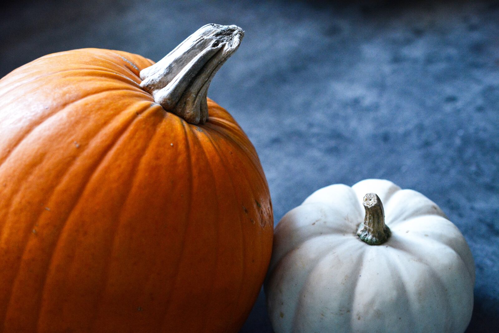 Nikon D5200 sample photo. Pumpkin, halloween, orange photography