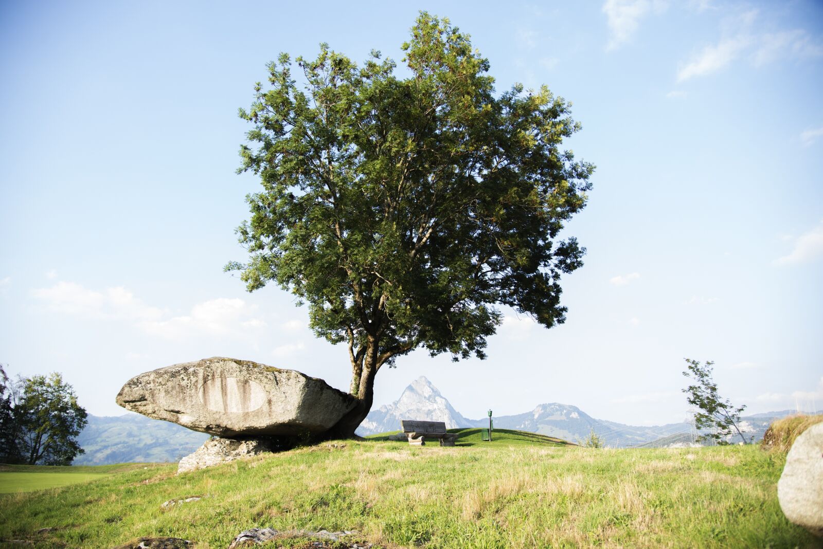 Nikon D600 sample photo. Druid stone, morschach, tree photography