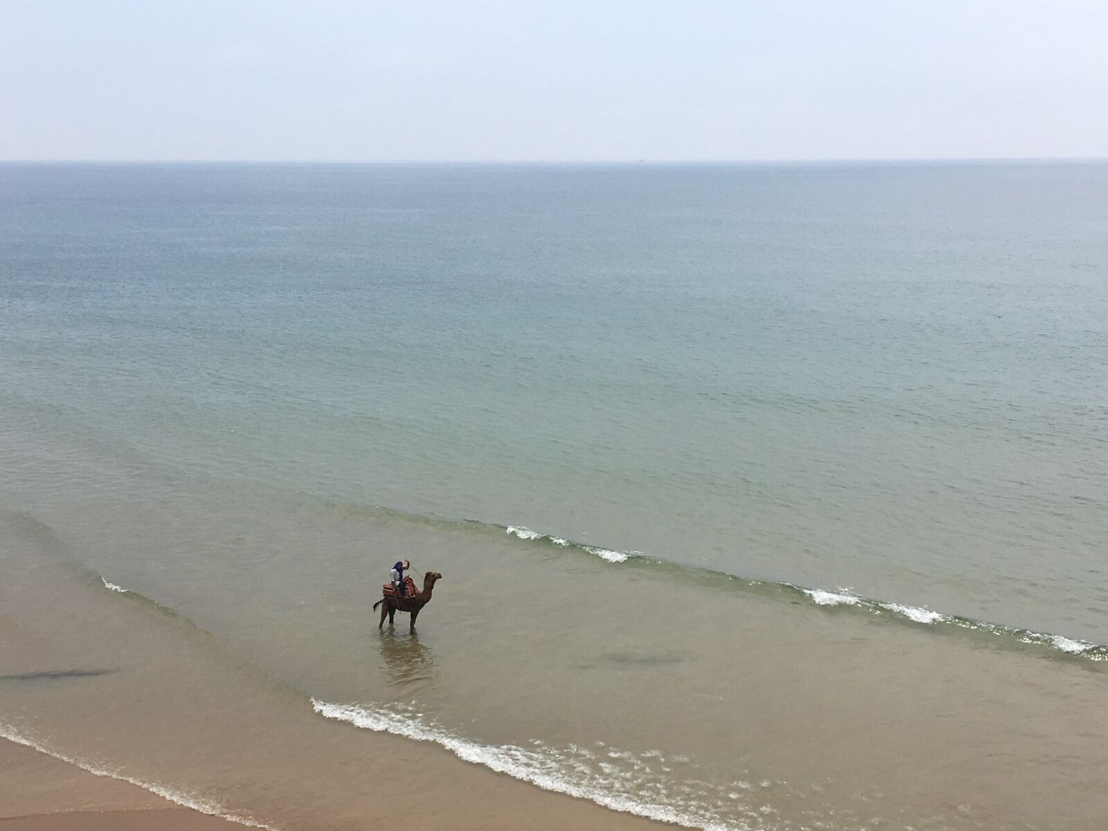 Apple iPhone 6s sample photo. Camel, sea, morocco photography
