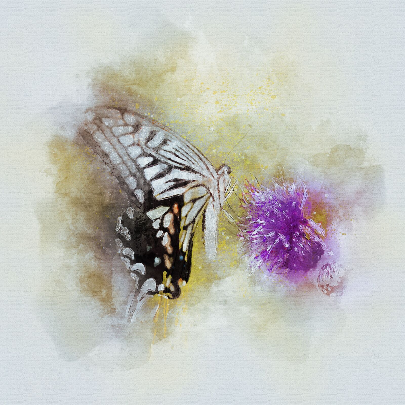 Canon EOS 5D Mark II sample photo. Butterfly, nature, insects photography