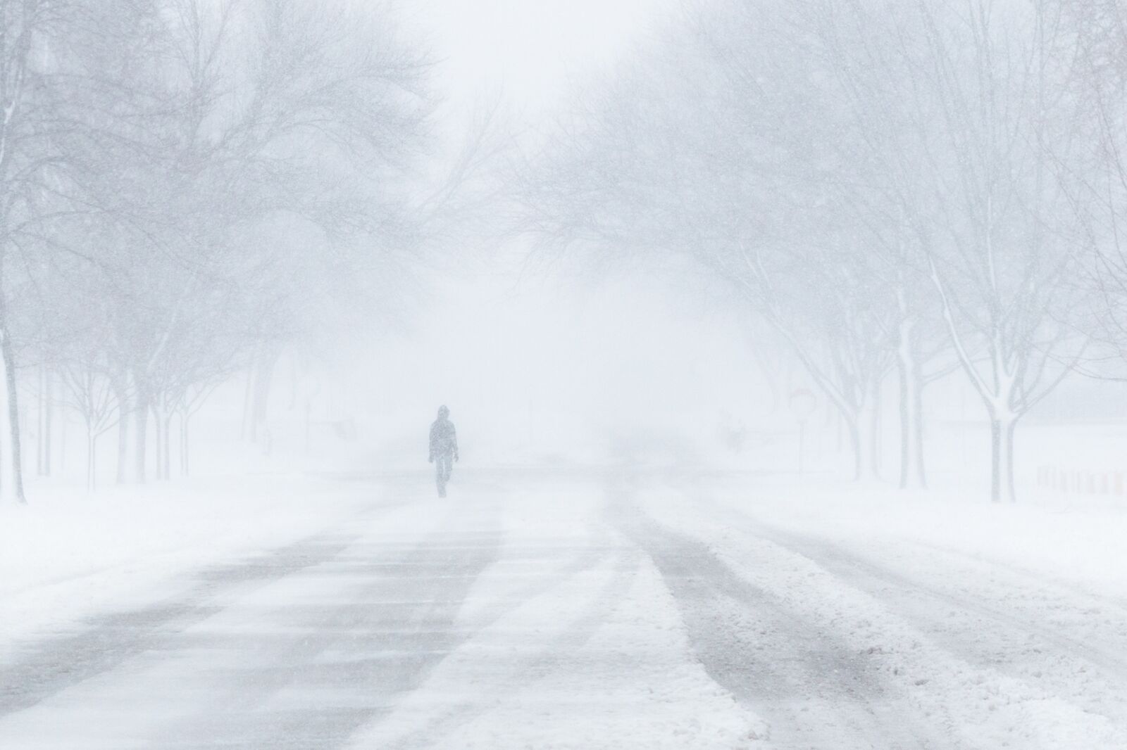 Canon EOS 70D + Canon EF 50mm F1.8 II sample photo. Blizzard, snow, winter photography