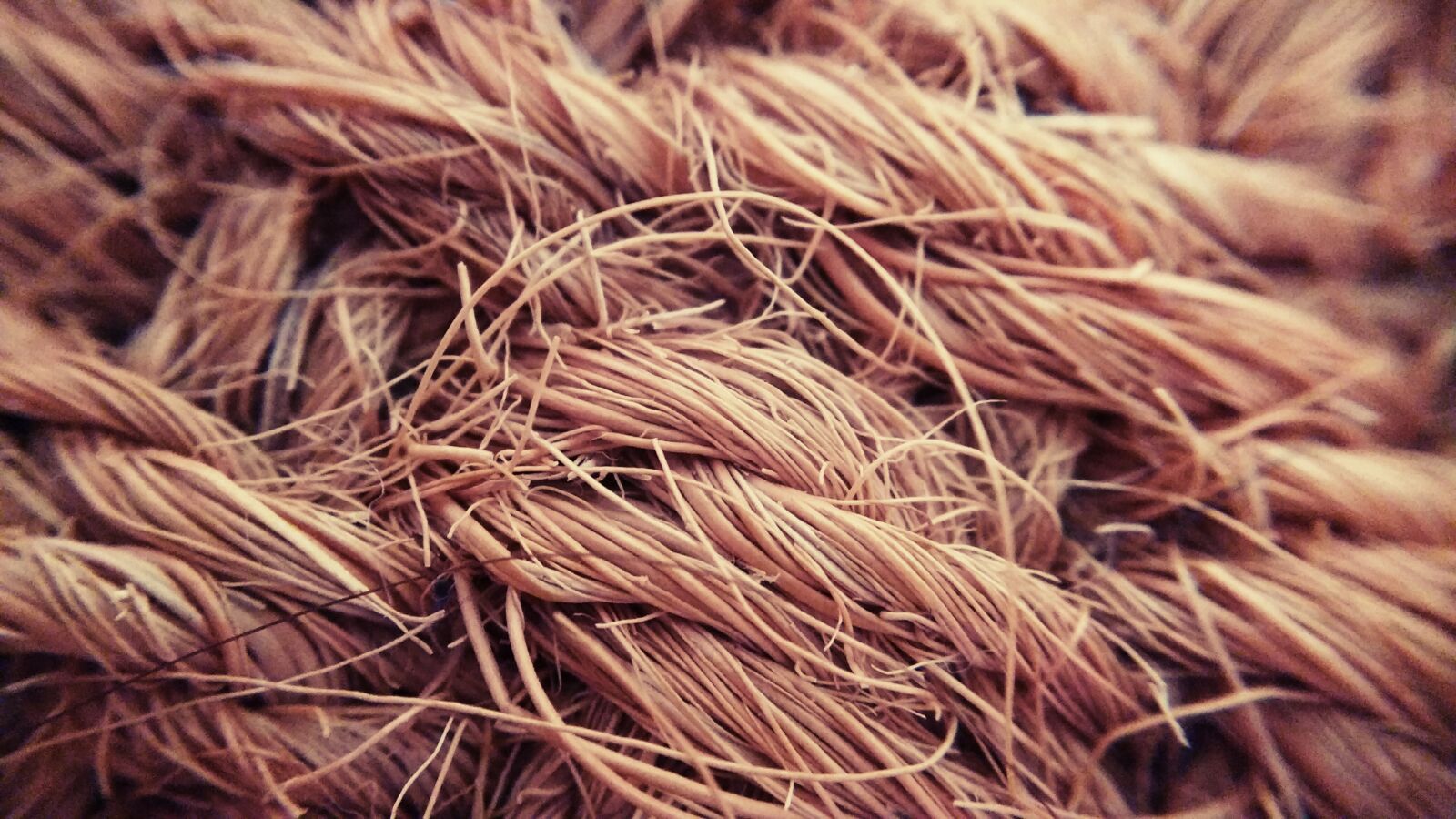 Motorola MotoG3 sample photo. Braid of coconut, macro photography