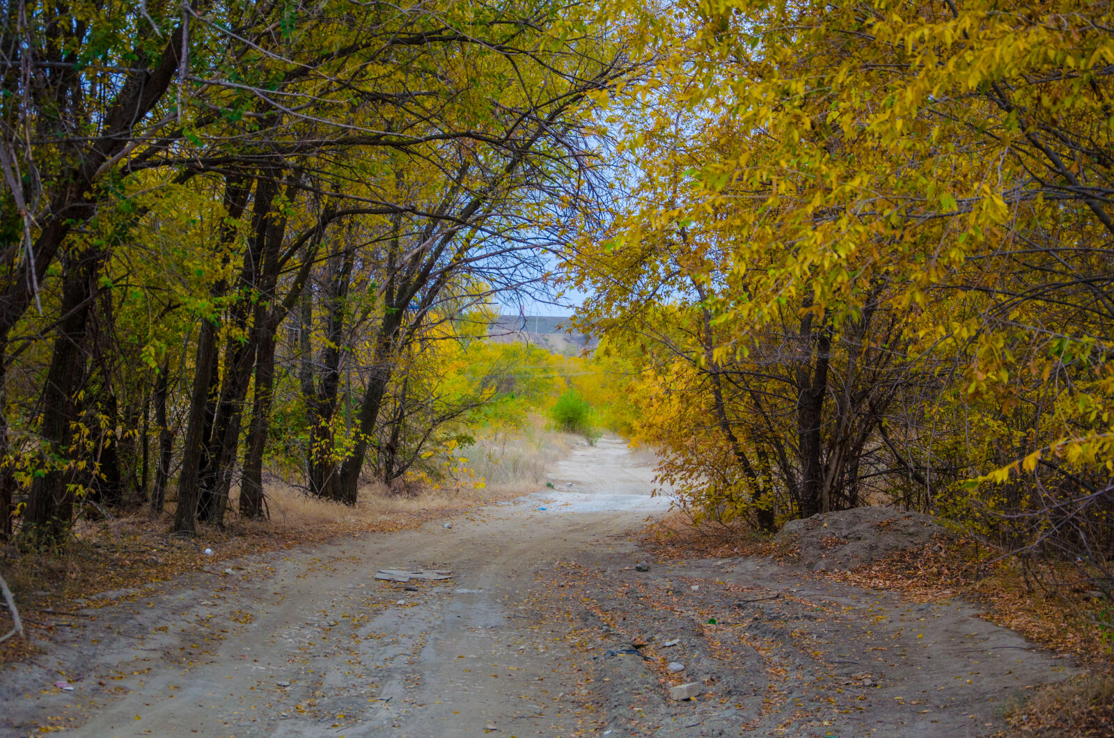 Nikon D5100 sample photo