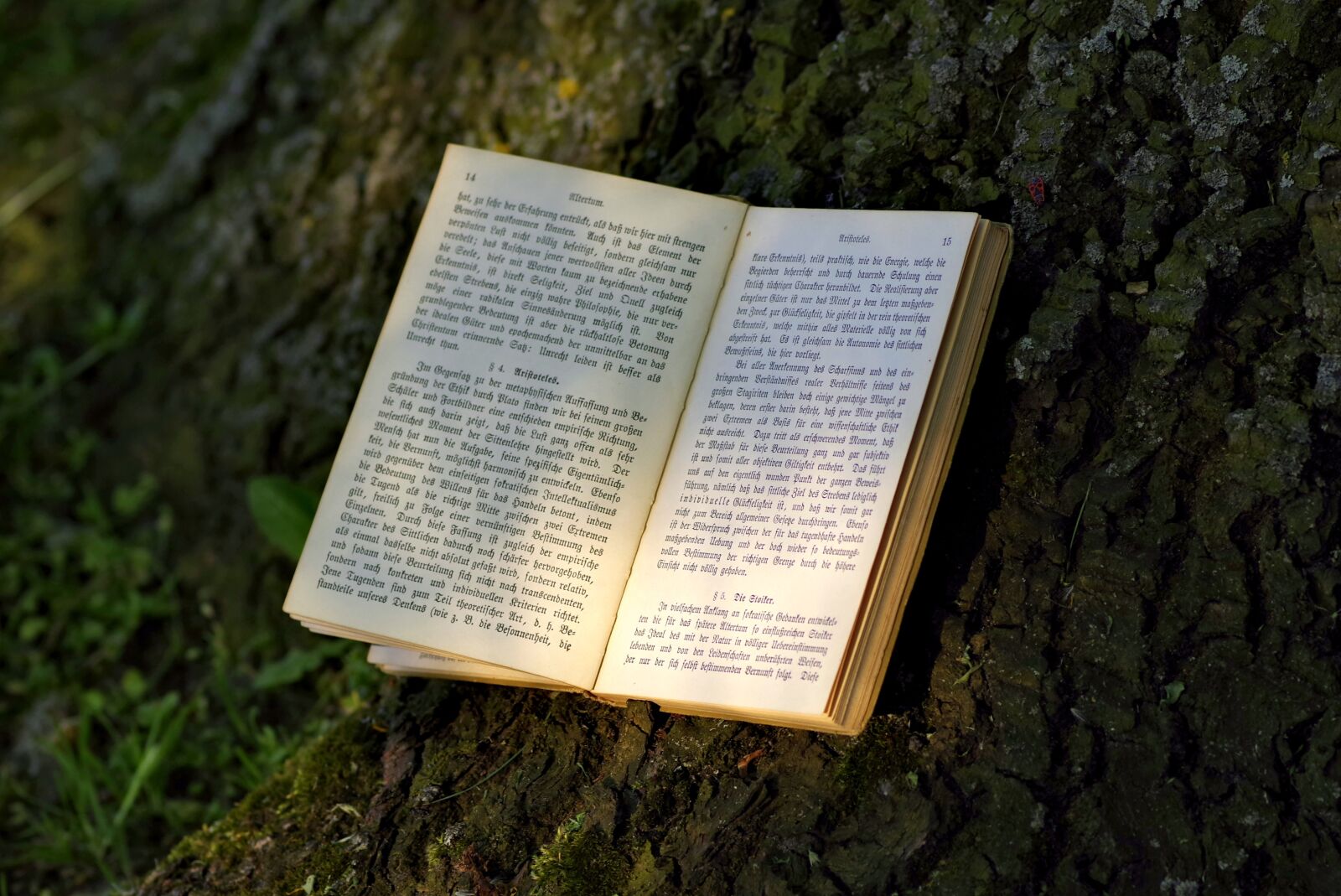 Pentax K-S2 sample photo. Book, read, park photography