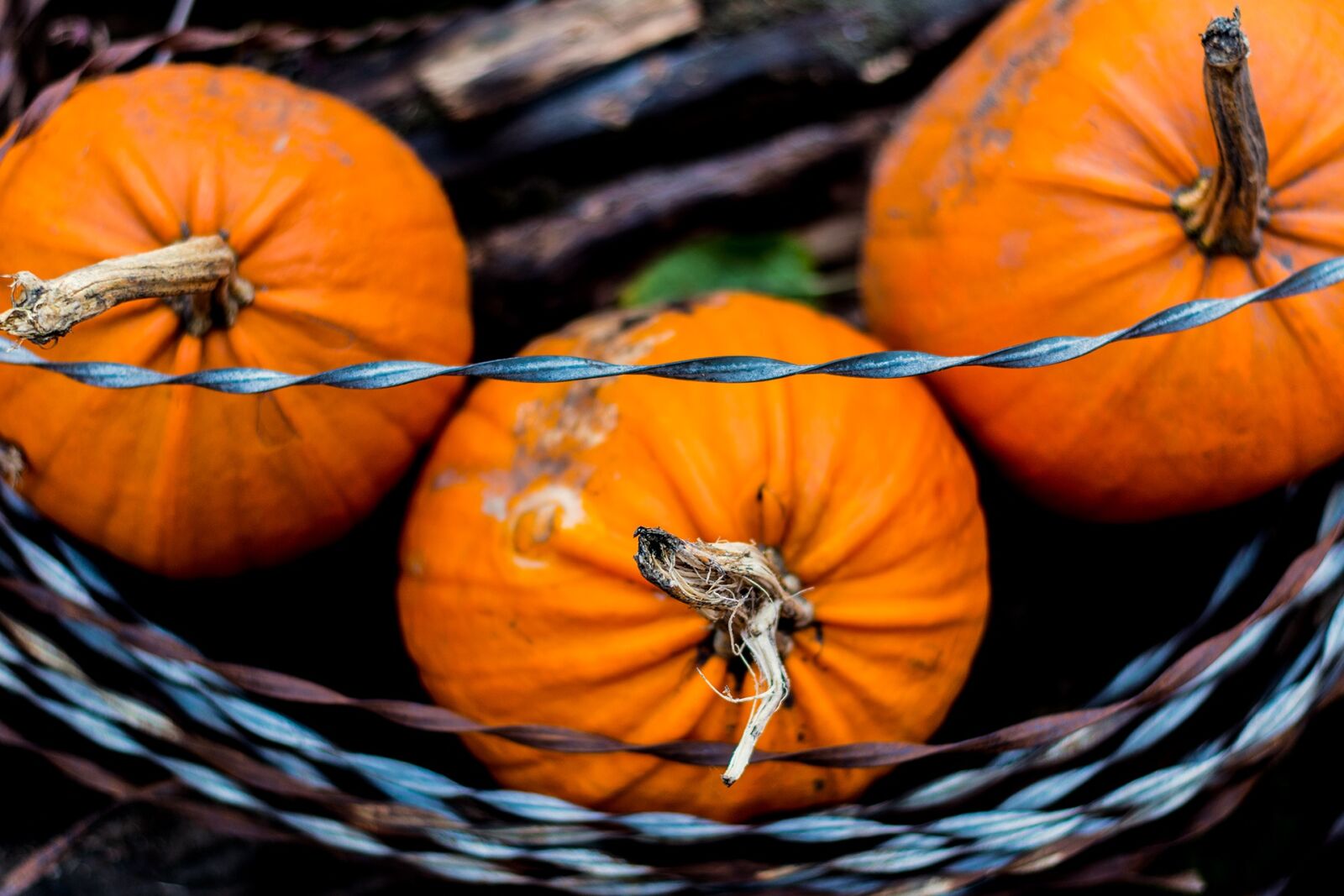 Nikon D7100 sample photo. Halloween, autumn, pumpkin photography