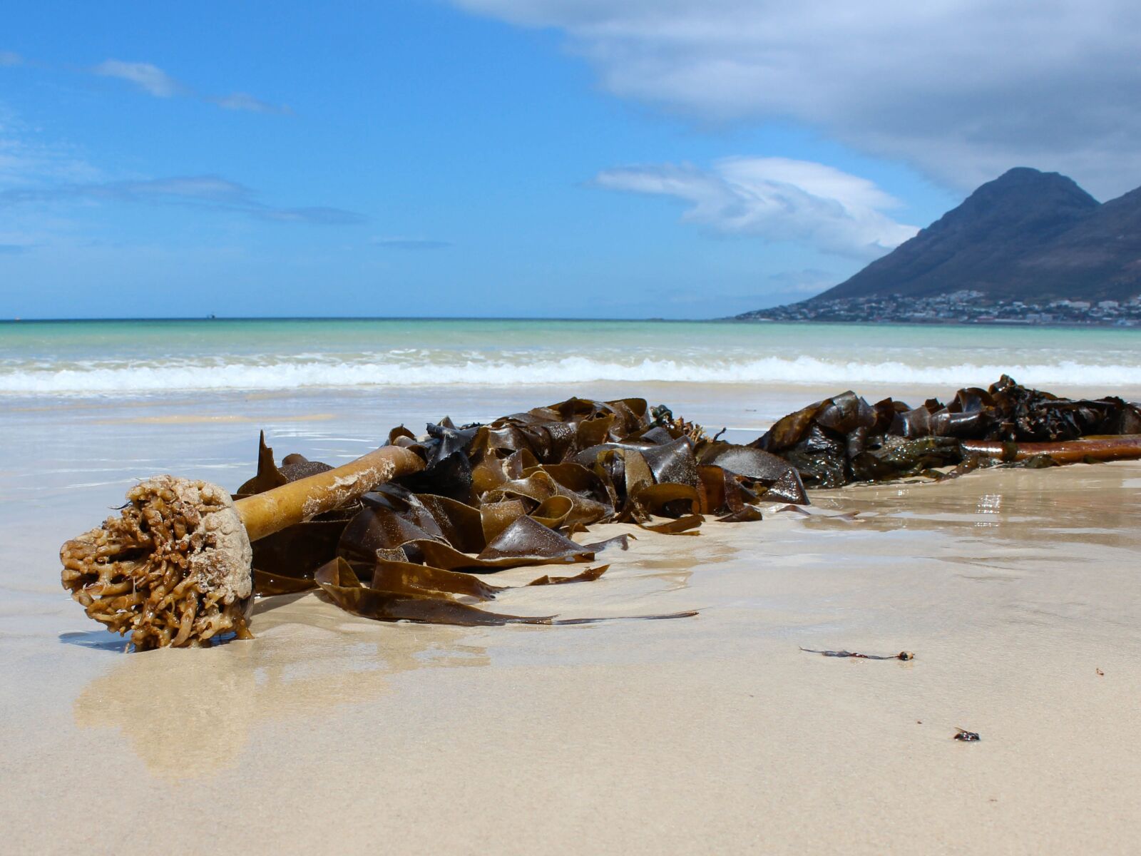 Canon EOS 600D (Rebel EOS T3i / EOS Kiss X5) sample photo. South africa, beach, ocean photography
