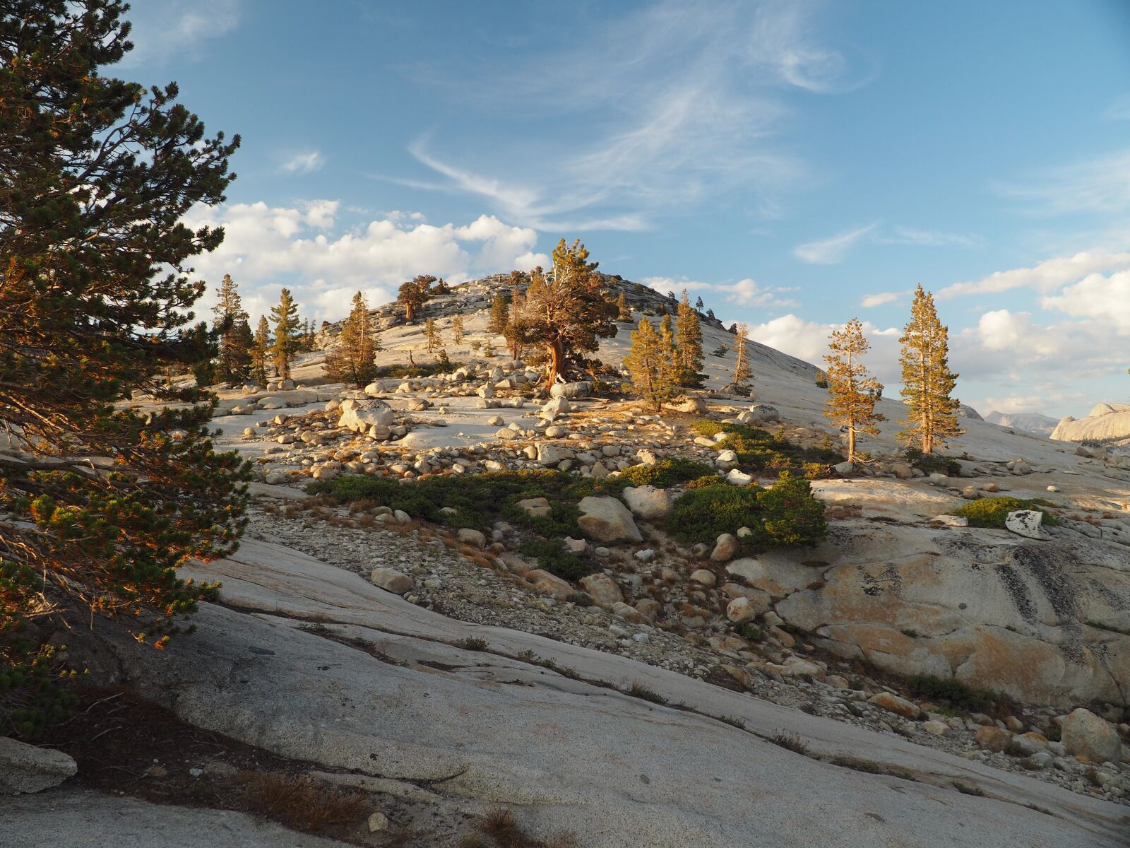 Olympus OM-D E-M10 II + Olympus M.Zuiko Digital 14-42mm F3.5-5.6 II R sample photo. Yosemite, nature, landscape photography