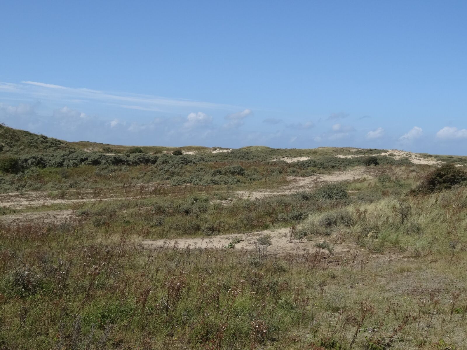 Sony Cyber-shot DSC-HX20V sample photo. Dunes, summer, netherlands photography