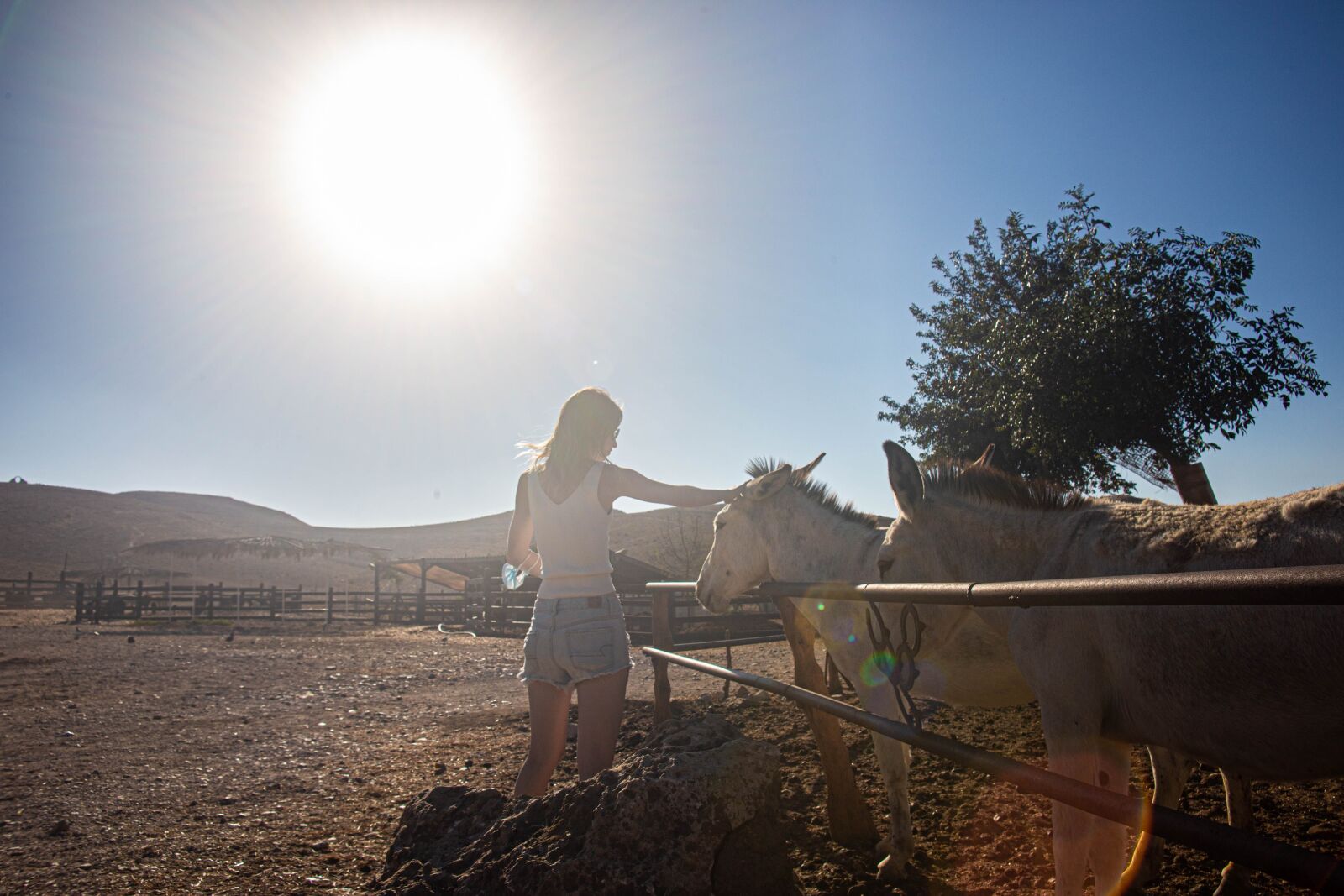 Canon EOS 6D sample photo. Feeding, petting, pet photography