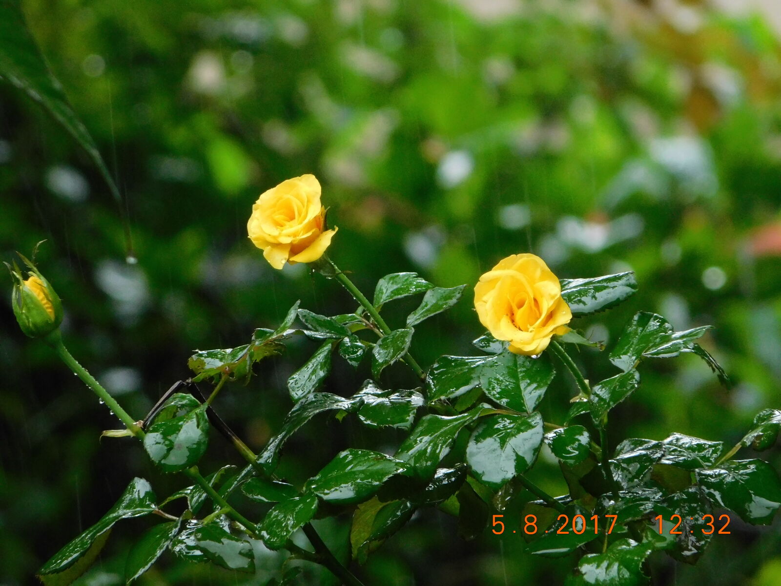 Nikon Coolpix B500 sample photo