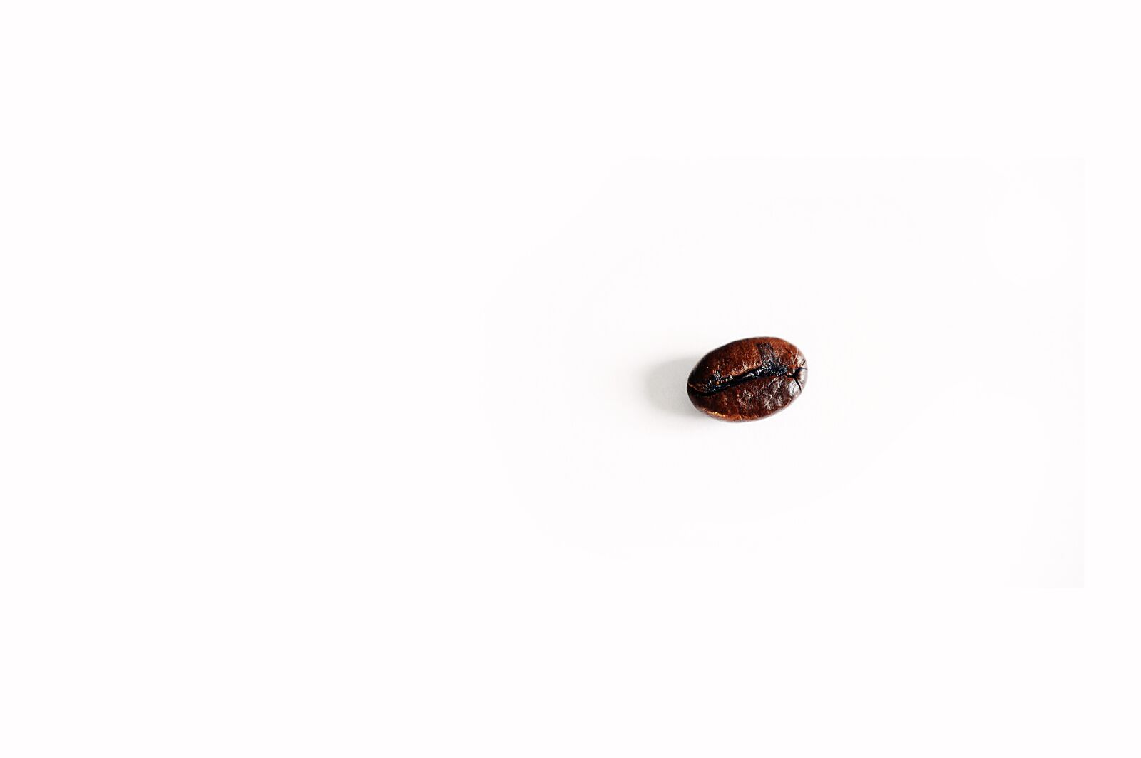 Nikon D3200 sample photo. Coffee bean, coffee, alone photography